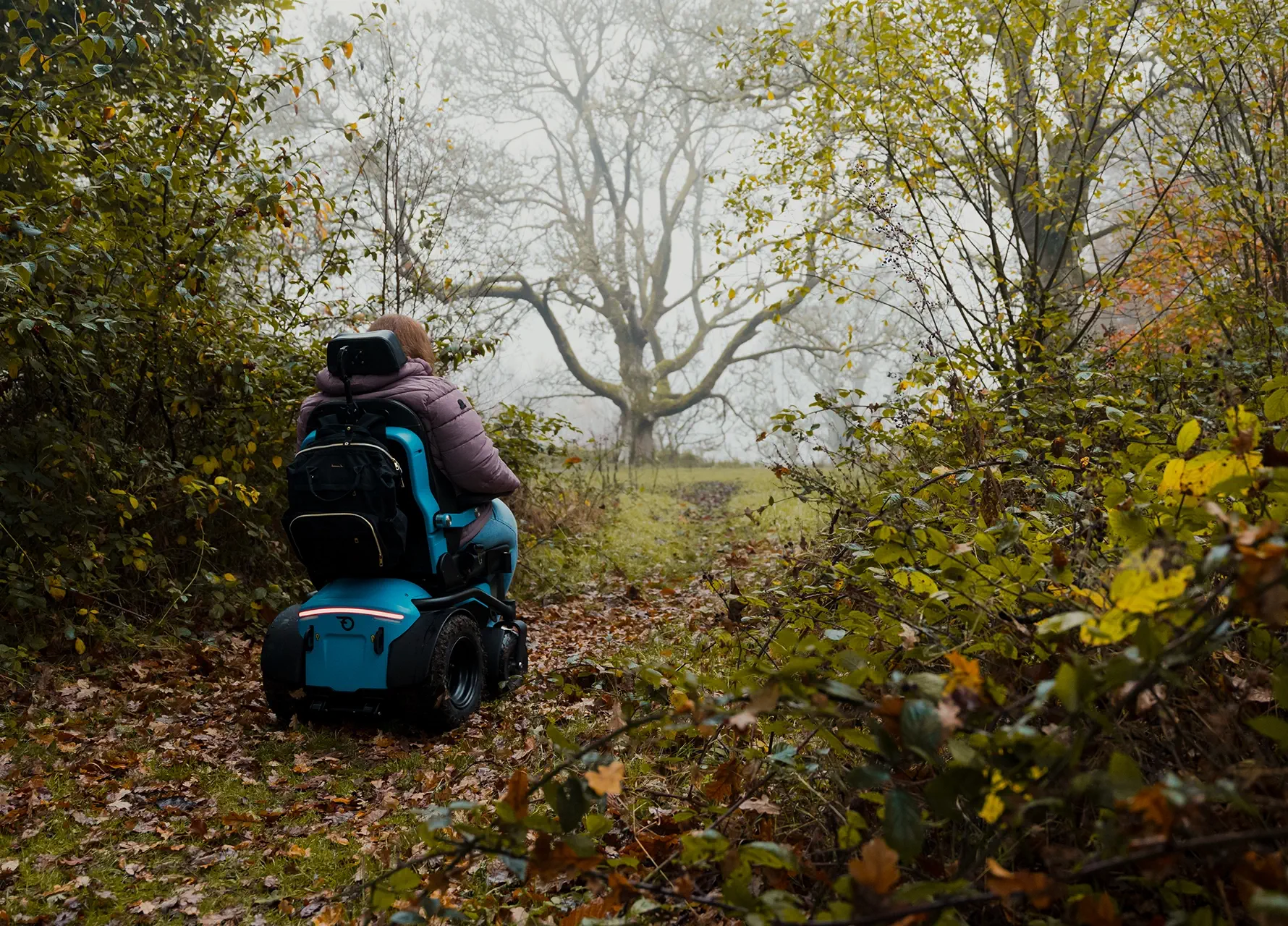 freedom-one-life-chair-forest-trail